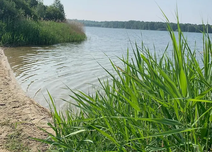 La Maison Mit Sauna Am Lejlighed Neuenkirchen (Westphalia)