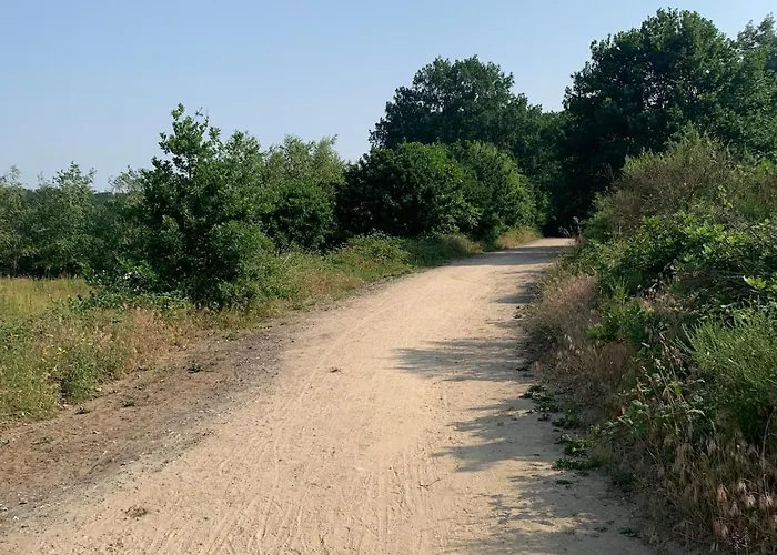 La Maison Mit Sauna Am Lejlighed Neuenkirchen (Westphalia)