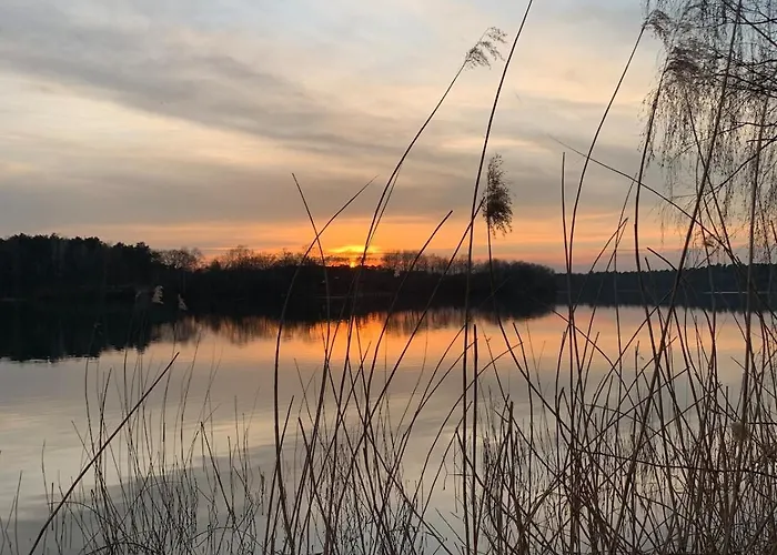 Lejlighed La Maison Mit Sauna Am Neuenkirchen (Westphalia)